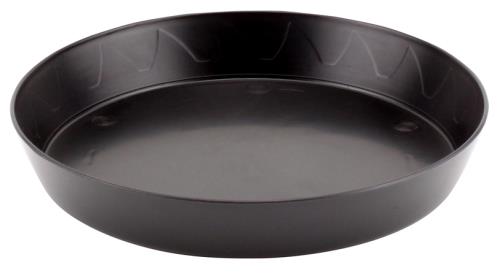 lavender sage plant Mealy-Cup Sage Plant Sets main image 1