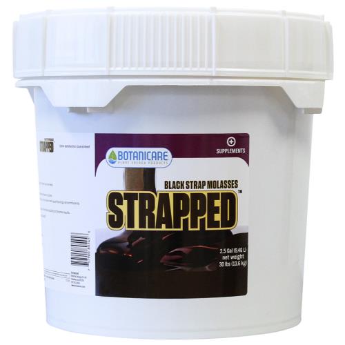 その他 PURPINATOR Amazon.com : Purpinator - Liquid Nutrient Additive for