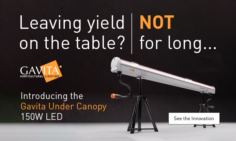 Gavita Under Canopy 150W LED