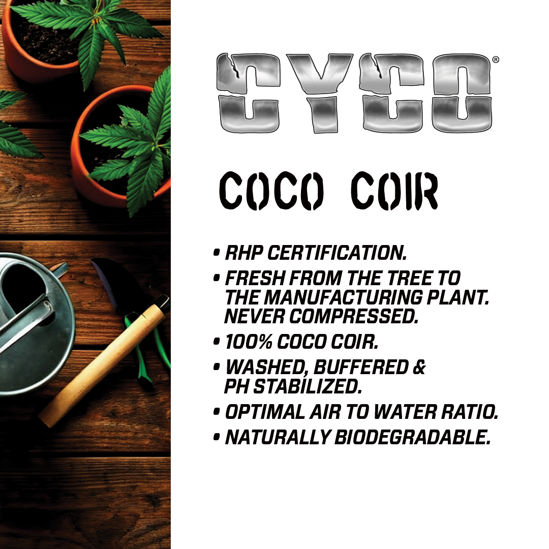 Cyco_EDLPCocoCarouselA4_241209